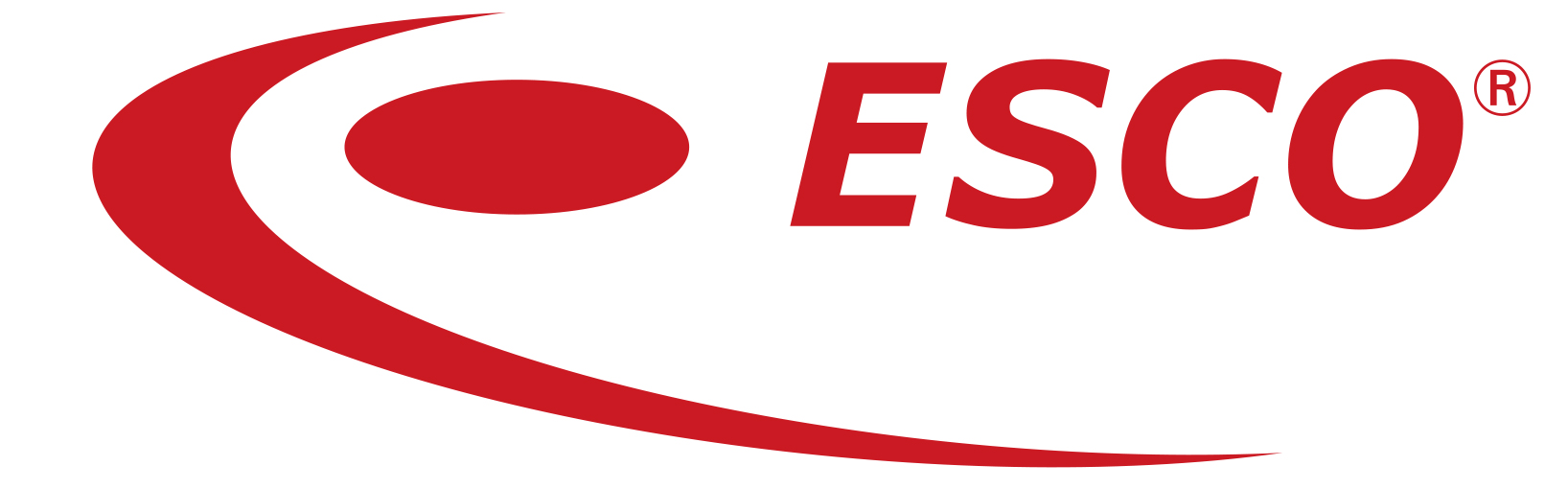 Lg ESCO red logo 2012