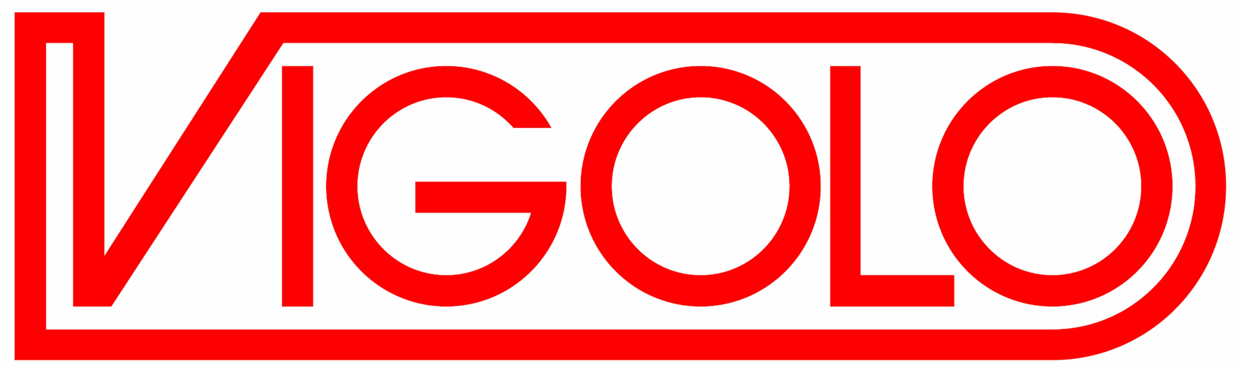 Logo Vigolo 2013